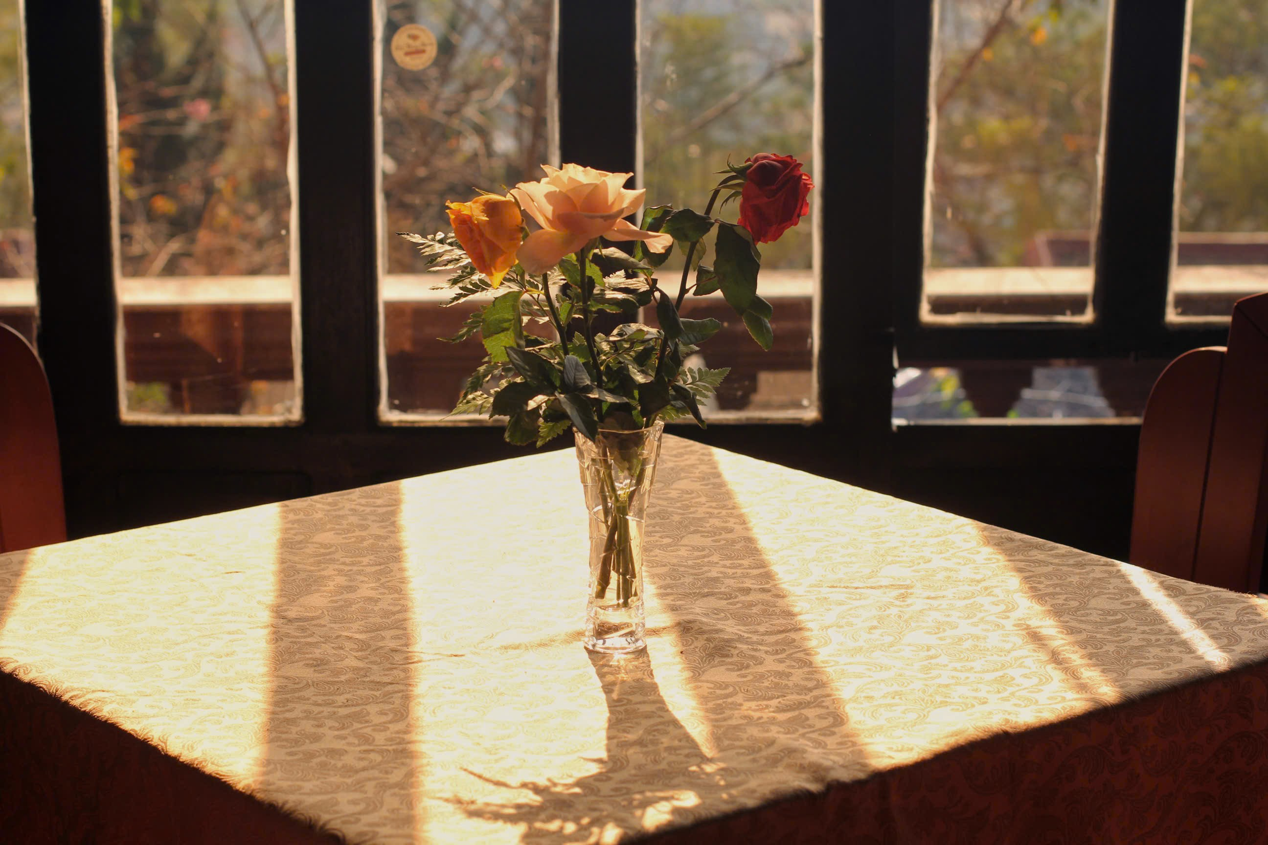 Món ăn đặc biệt